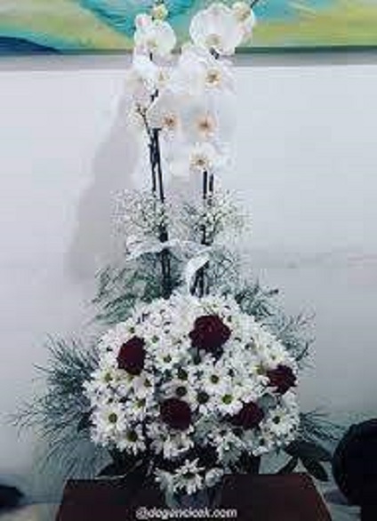 orkide-ppatya-gul